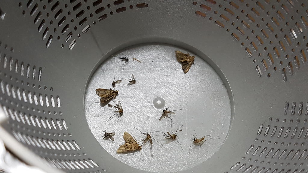 20180527_002508.jpg
