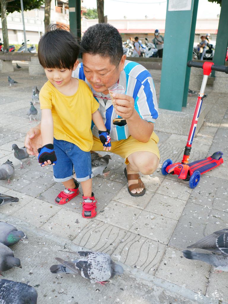 兒童滑板車推薦 團購 英國滑步車 可折疊 奧地利滑步車38.jpg