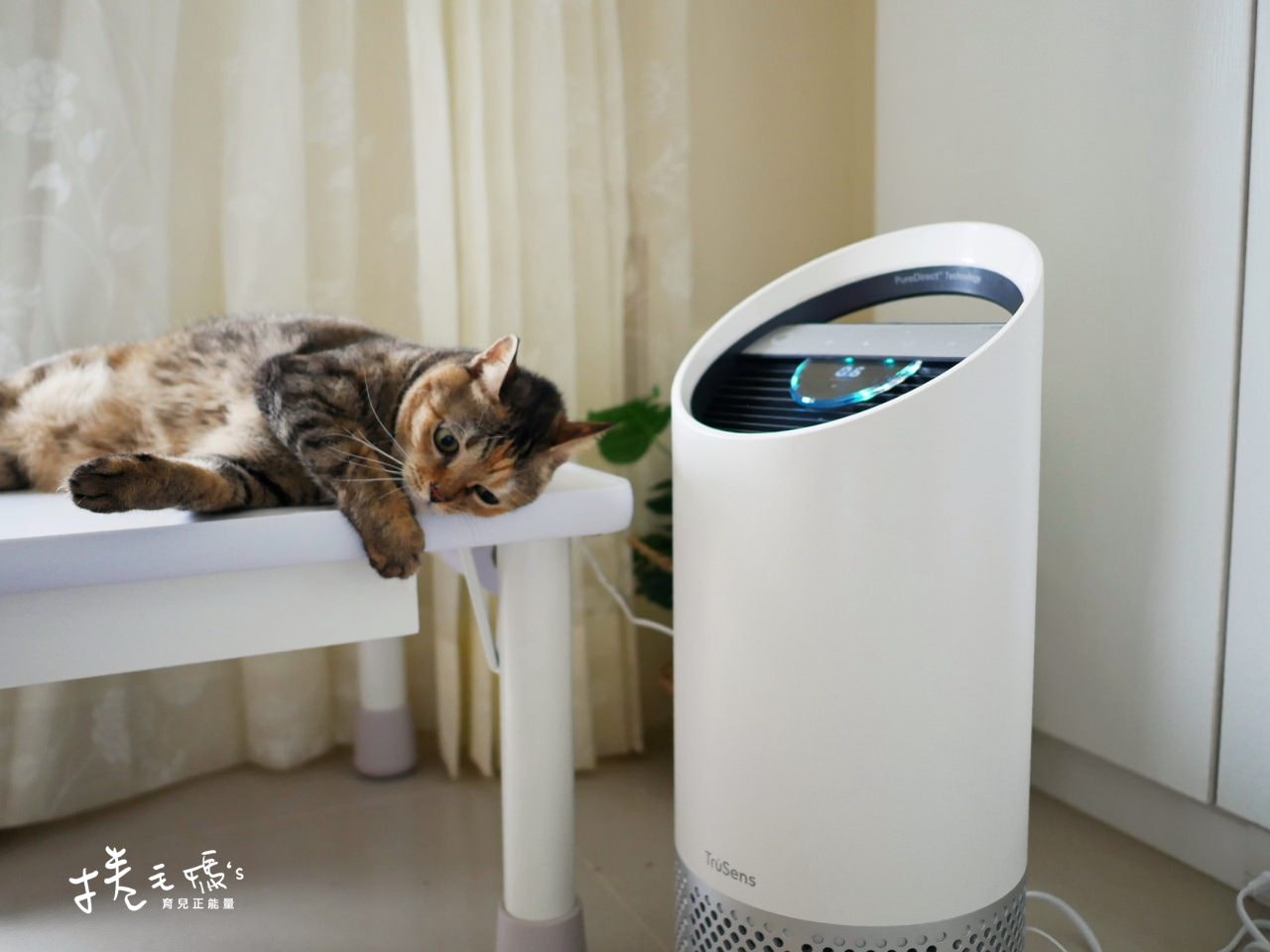 【居家】遠離病菌氣體異味過敏原 過敏人必備好物 萬元以下美國Trusens UV紫外線殺菌空氣清淨機