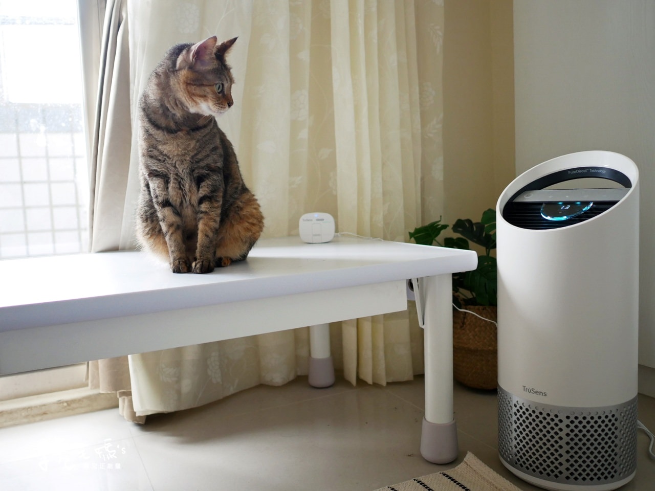 【居家】遠離病菌氣體異味過敏原 過敏人必備好物 萬元以下美國Trusens UV紫外線殺菌空氣清淨機