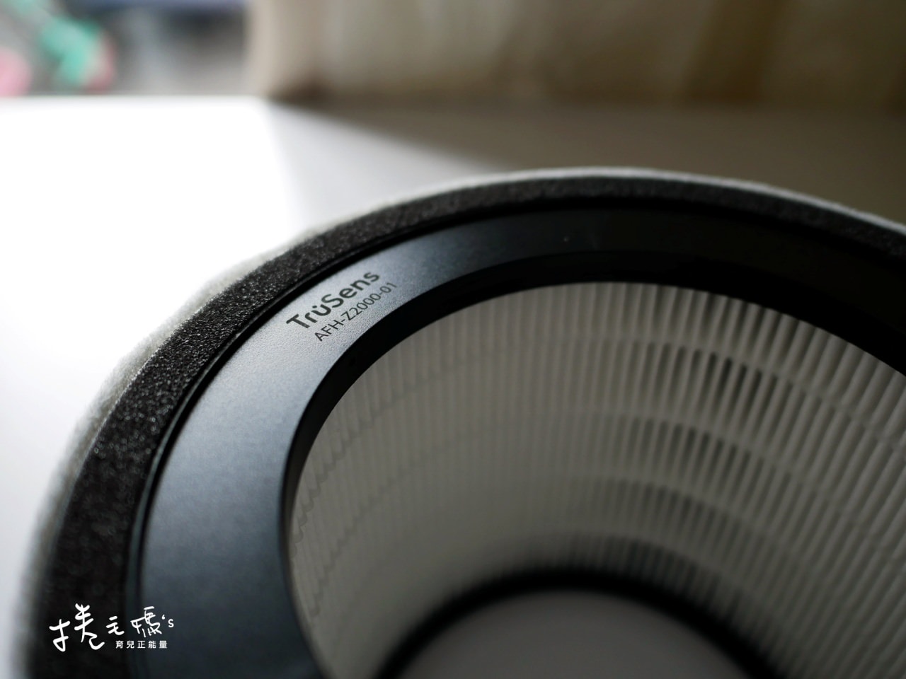 【居家】遠離病菌氣體異味過敏原 過敏人必備好物 萬元以下美國Trusens UV紫外線殺菌空氣清淨機