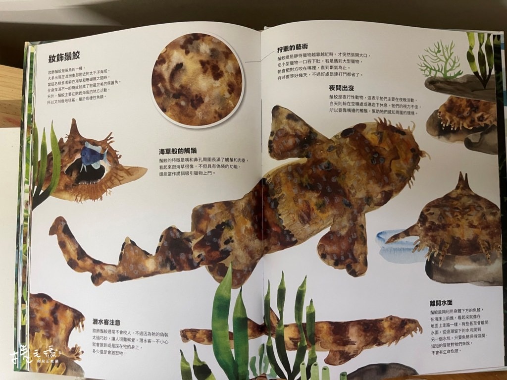 幼兒繪本書單推薦 好餓的毛毛蟲/操作書/魔法親親/愛吃青菜的鱷魚GUJIGUJI