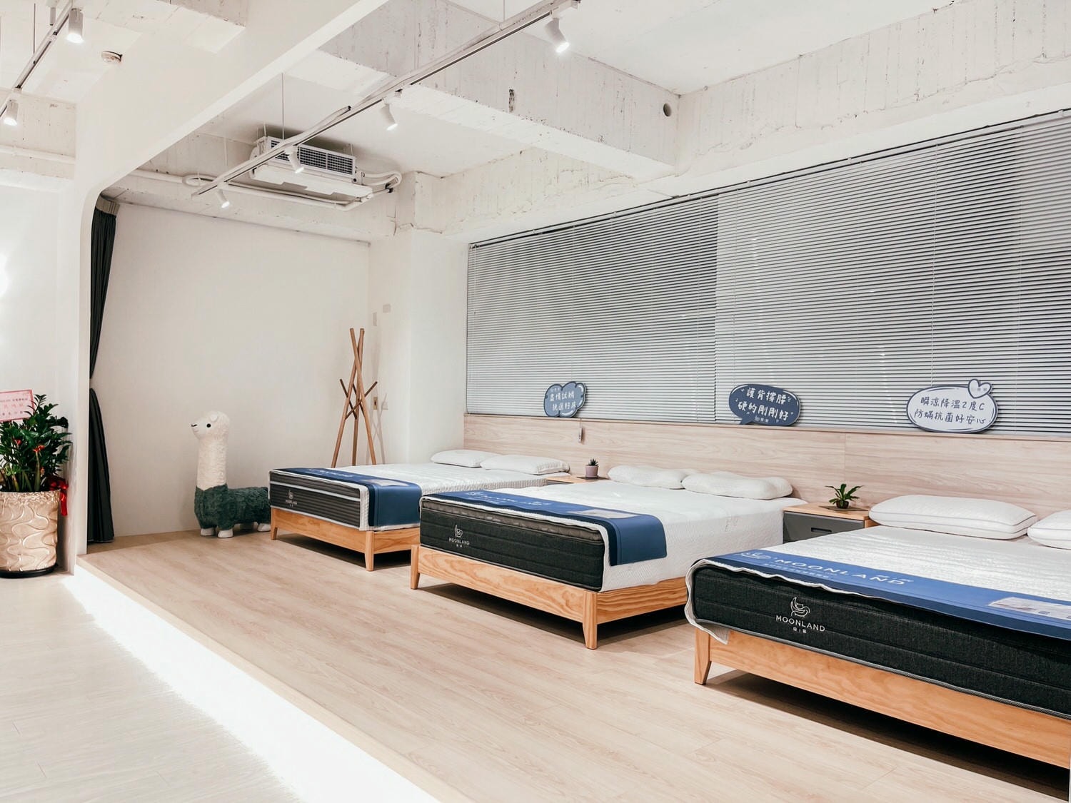 床墊推薦 | Moonland睦眠床墊 台北門市 7款床墊試躺心得 防塵螨10年保固 MIT台灣製床墊