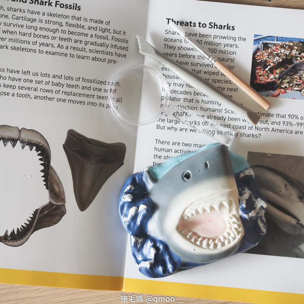 National Geographic 國家地理科學玩具 在家就是夏令營!科學玩具推薦