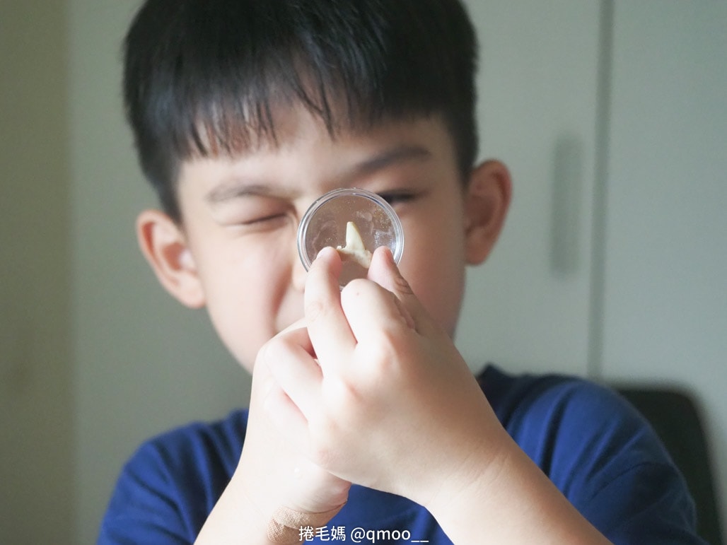 National Geographic 國家地理科學玩具 在家就是夏令營!科學玩具推薦