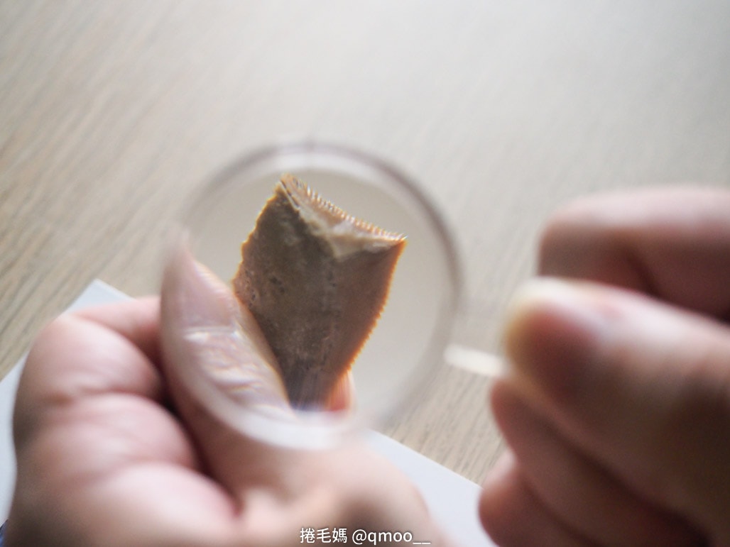 National Geographic 國家地理科學玩具 在家就是夏令營!科學玩具推薦